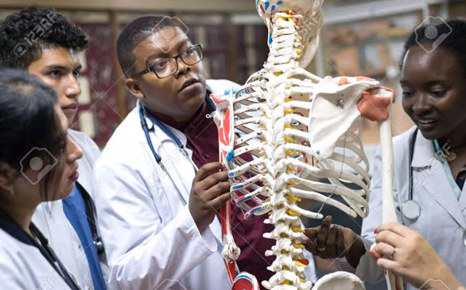 School of Medicine - James Cook Medical University