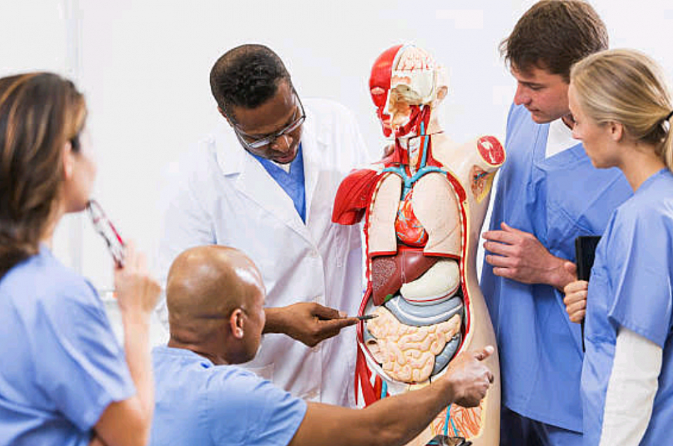 School of Allied Health Science - James Cook Medical University